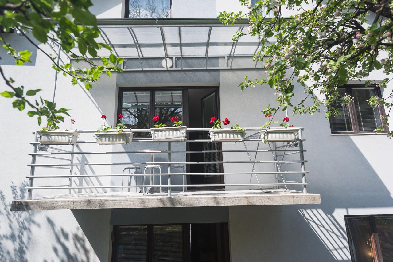 Guest House Sokodream Soko Banja Exterior photo